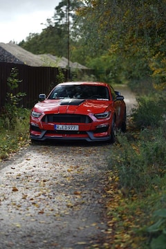 Bild des Angebotes Ford Mustang Der Schönste 3.7L V6 auf dem Markt!