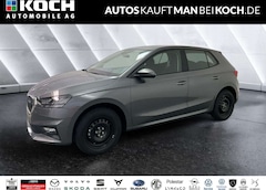 Bild des Angebotes Skoda Fabia Selection 1.0 TSI DSG WINTER, PARKEN PDC LED