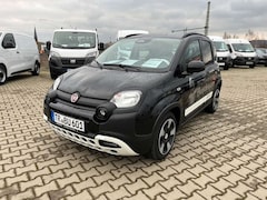 Bild des Angebotes Fiat Panda Pandina Cross - Abverkauf -