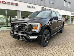 Bild des Angebotes Ford F 150 XLT 5.0 /Autogas/360 Grad Kamera