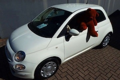 Bild des Angebotes Fiat 500 Pop original 36.100 km Scheckheft