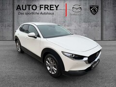Bild des Angebotes Mazda CX-30 150PS Selection AT 360°+LEDER+PRE-P+DES-P+BOSE