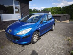 Bild des Angebotes Peugeot 307 Grand Filou Cool