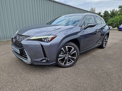 Bild des Angebotes Lexus UX 250h Luxury Line ESD/WKR/HUD