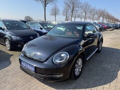 Bild des Angebotes VW Beetle Lim. Design