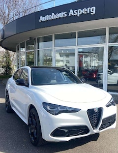 Bild des Angebotes Alfa Romeo Stelvio Tributo Italiano Q4
