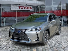 Bild des Angebotes Lexus UX 250h Style *Sitzhezung, Lenkradheizung, uvm.*