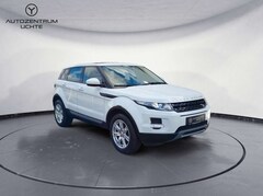 Bild des Angebotes Land Rover Range Rover Evoque Pure/PANORAMA/KAMERA