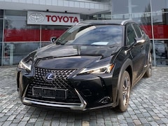 Bild des Angebotes Lexus UX 250h Style Edition wenig KM*Top Gewartet