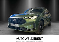 Ford Kuga ST-Line X Black Package LED Matrix AHK Wint
