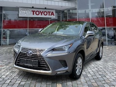 Bild des Angebotes Lexus NX 300 h Executive Line Pano ParkAss. ACC