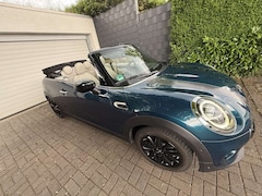 Bild des Angebotes MINI Cooper Cabrio Cooper Sidewalk Trim