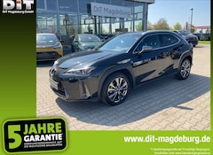 Bild des Angebotes Lexus UX 250h UX 250 h F Sport Design ACC+LED+SHZ+2xKlima+Kam.