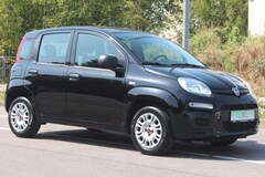 Bild des Angebotes Fiat Panda Easy
