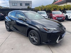 Bild des Angebotes Lexus UX 250h 2,0 Hybrid Automatik/Leder/Klima/Navi/Kam