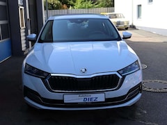 Bild des Angebotes Skoda Octavia Style