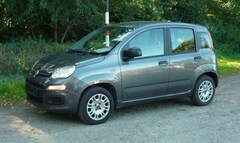 Bild des Angebotes Fiat Panda Easy