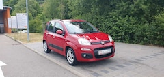 Bild des Angebotes Fiat Panda Lounge*TÜV-NEU*KLIMA*