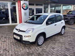 Bild des Angebotes Fiat Panda Pandina 1.0 GSE 52kW Hybrid Klima, DAB