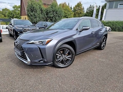 Bild des Angebotes Lexus UX 250h Amazing Edition Keyless/PDC