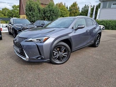 Bild des Angebotes Lexus UX 250h Amazing Edition Keyless PDC