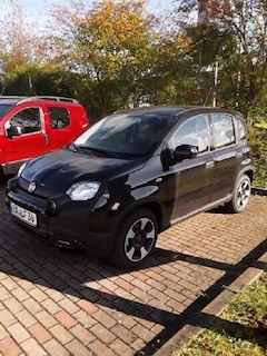 Bild des Angebotes Fiat Panda City Plus