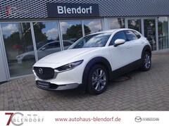 Bild des Angebotes Mazda CX-30 Selection 122 Design|Active|Navi|Bose