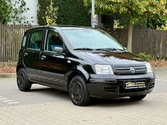 Bild des Angebotes Fiat Panda 1.2 8V Dynamic/AUTOMATIK/KLIMA/ALLWETTER/