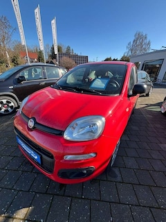 Bild des Angebotes Fiat Panda Panda/Pandina 1.2