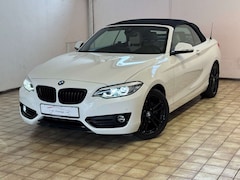 Bild des Angebotes BMW 220 2 Cabrio 220 i Sport Line Aut. Navi Leder LED