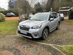 Bild des Angebotes Subaru Forester 2.0ie Platinum Lineartronic*AHK