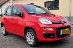Bild des Angebotes Fiat Panda Panda 1.2 Easy