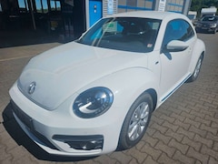Bild des Angebotes VW Beetle R-Line Bi-Xenon Leder Alu SHZ PDC FSE