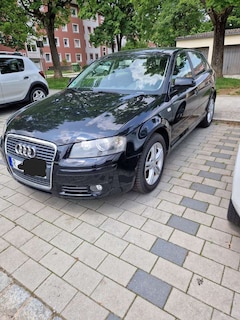 Bild des Angebotes Audi A3 1.6 FSI Ambiente TÜV bis 06/26