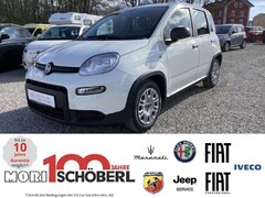 Bild des Angebotes Fiat Panda Base