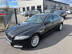 Bild des Angebotes Jaguar XF 2.0 Portfolio Navi+/Leder/6-Gang/EURO6