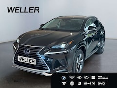 Bild des Angebotes Lexus NX 300h Style Edition *Bi-LED*ACC*CAM*SHZ*CarPlay*