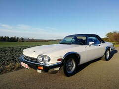 Bild des Angebotes Jaguar XJS Convertible V12