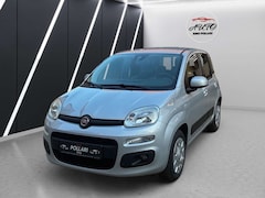 Bild des Angebotes Fiat Panda New Panda 1 Hand Lounge Klimaautomatik 1.2