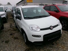 Bild des Angebotes Fiat Panda Hybrid