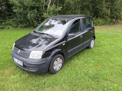 Bild des Angebotes Fiat Panda 1.1 8V Active