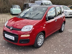 Bild des Angebotes Fiat Panda MY25 1.0 Klima PDC Citypaket