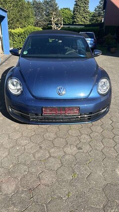 Bild des Angebotes VW Beetle Allstar BMT