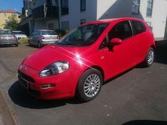 Bild des Angebotes Fiat Punto Evo 1.2 8V Sondermodell Street