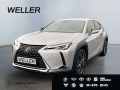 Bild des Angebotes Lexus UX 250h Amazing Edition *Kamera*SHZ*PDC*LED*TOP*