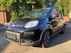 Bild des Angebotes Fiat Panda City Life-Klima-Hybrid-Klima-1.-HD-TÜV-Neu