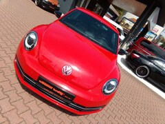 Bild des Angebotes VW Beetle Lim. Sport, Fender Edition, Leder , Xenon