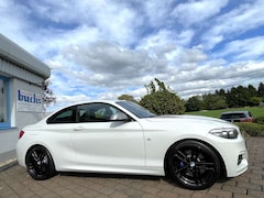 Bild des Angebotes BMW 240 M240i Coupé Glasdach DAB Leder M Sportbremse