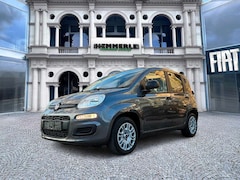 Bild des Angebotes Fiat Panda Easy 1.2 *TÜV neu*Allwetterreifen*Klima*