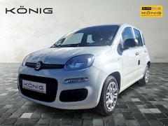 Bild des Angebotes Fiat Panda Eurostar MY25 1.0 70PS Klima PDC